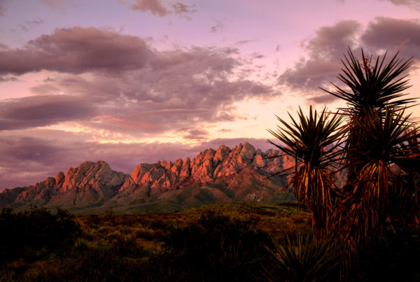 Las Cruces, New Mexico desert sunset
